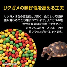画像3: リクガメの栄養 バランスフード 400g (3)