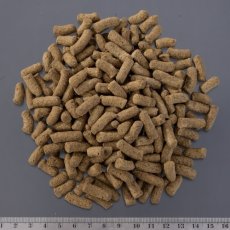 画像2: トカゲブレンドフード 200g (2)