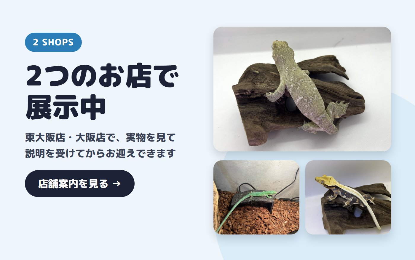 2つのお店で展示中。店舗案内を見る