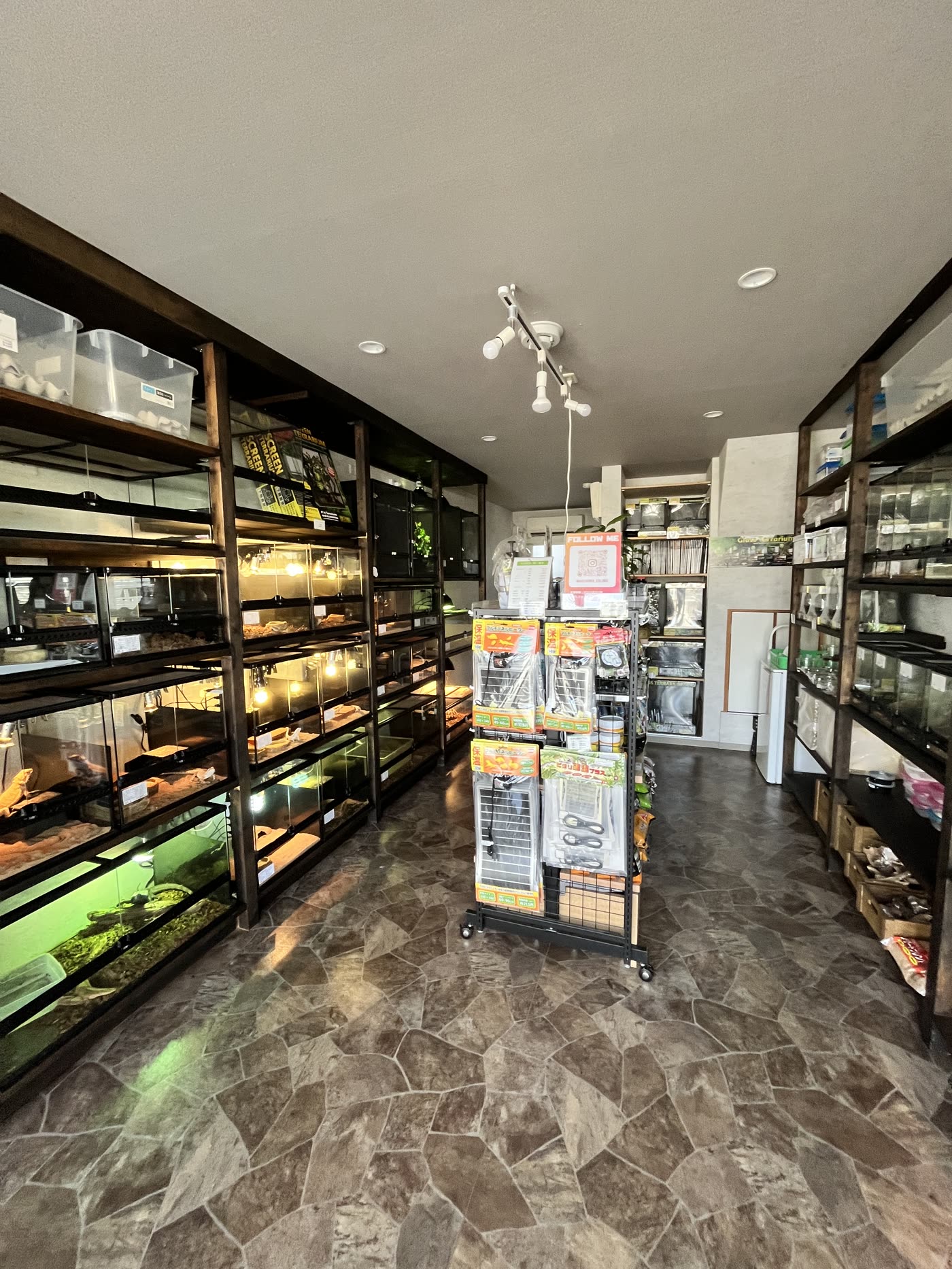 REPTILES SHOP KMY 東大阪店の店内